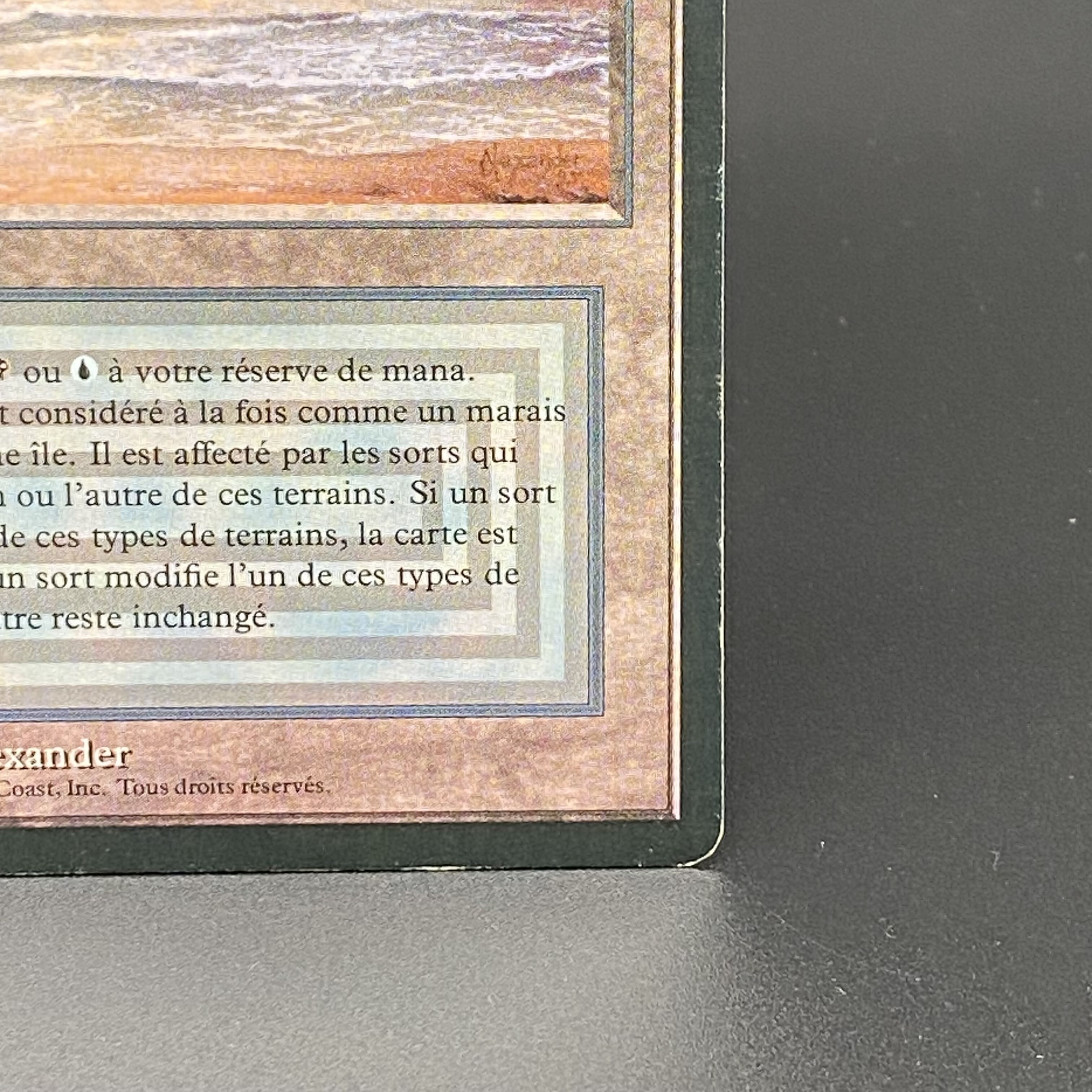 Underground Sea / Mer souterraine Multiple languages 1枚