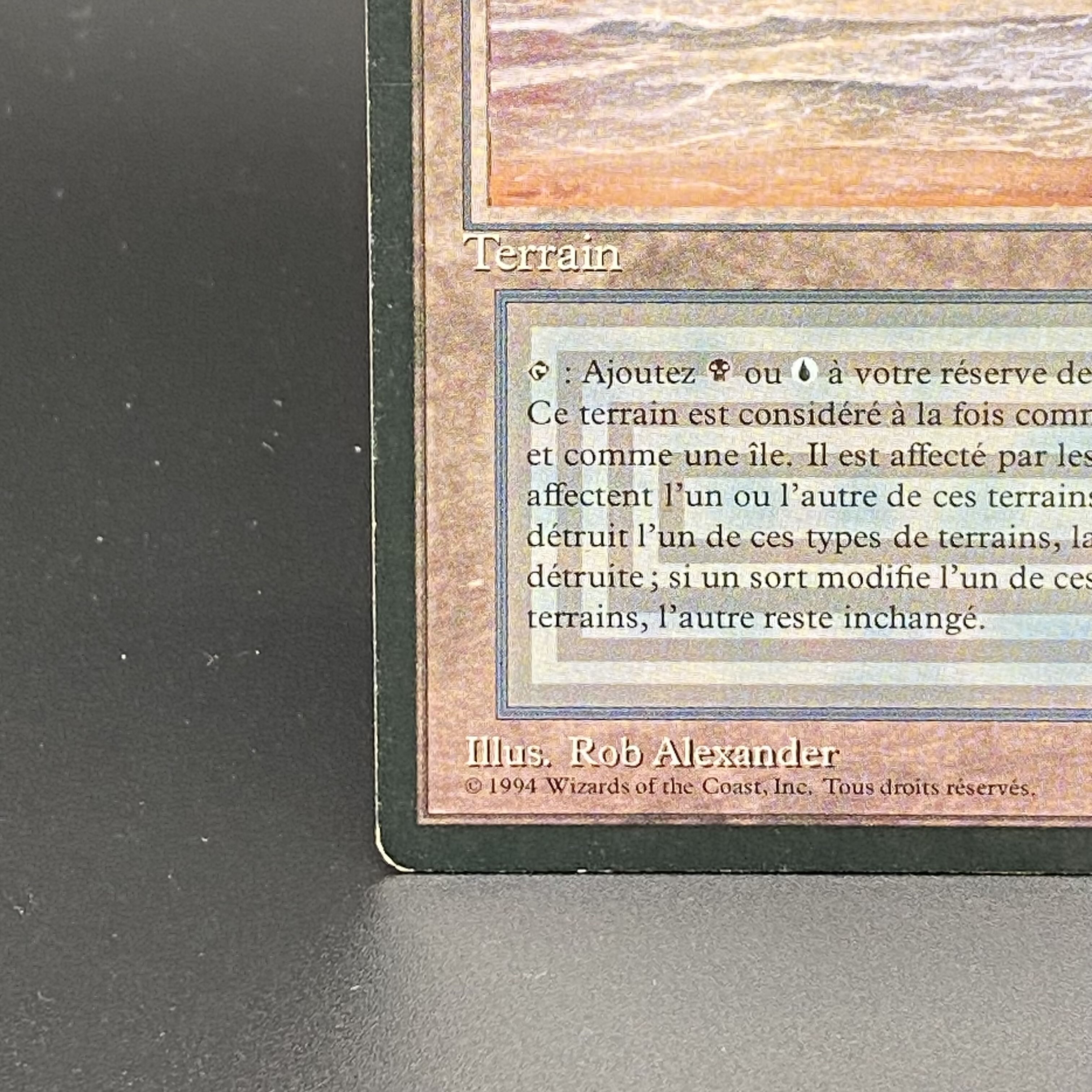 Underground Sea / Mer souterraine Multiple languages 1枚