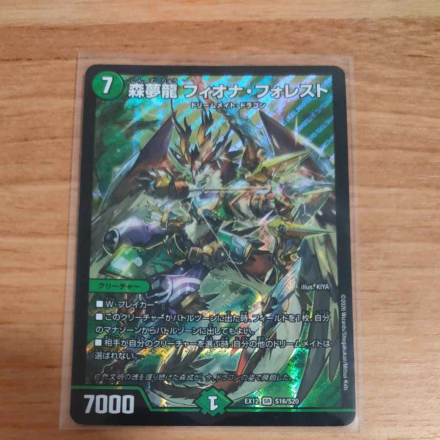 Forest Dream Dragon Fiona Forest