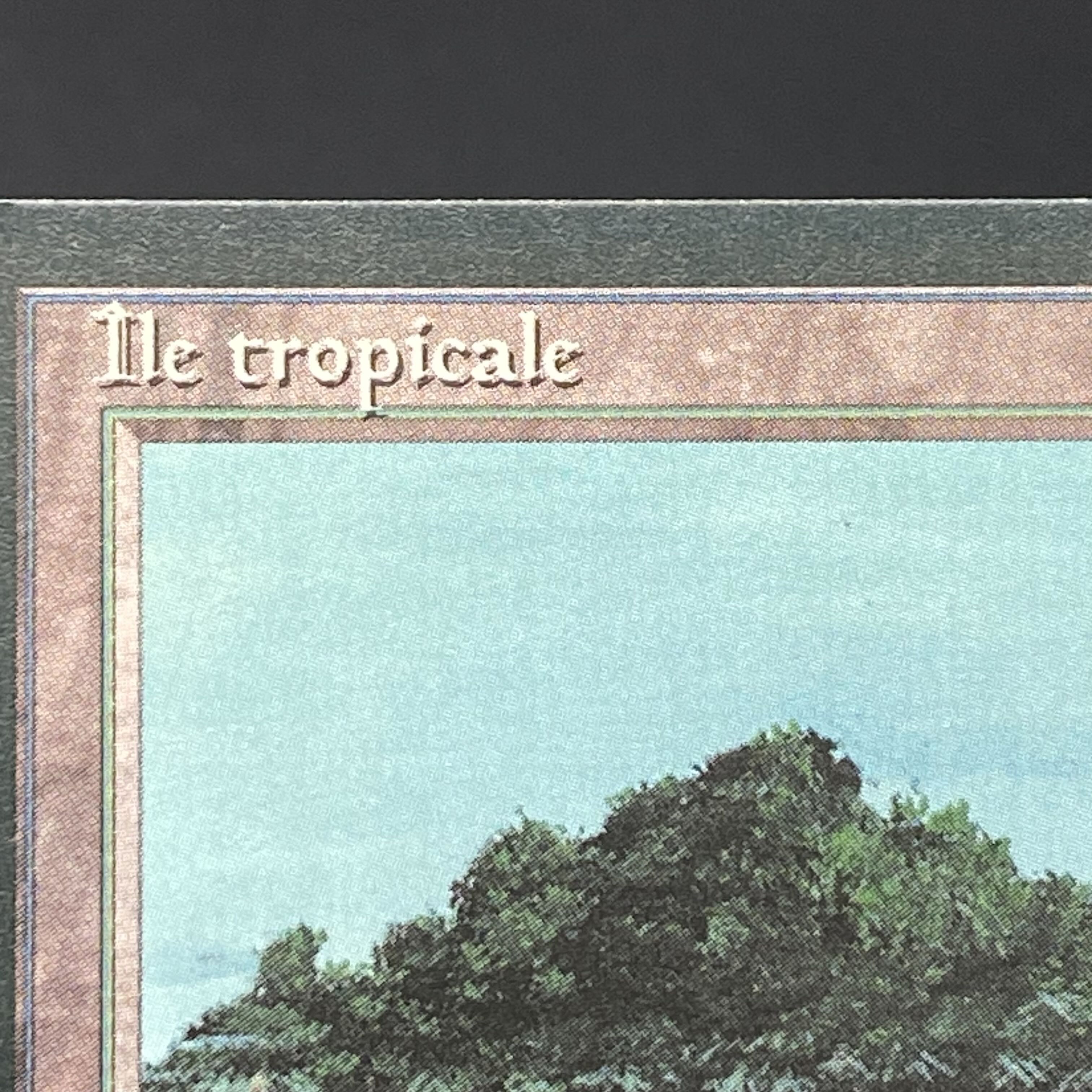 Tropical Island / Ile tropicale Multiple languages