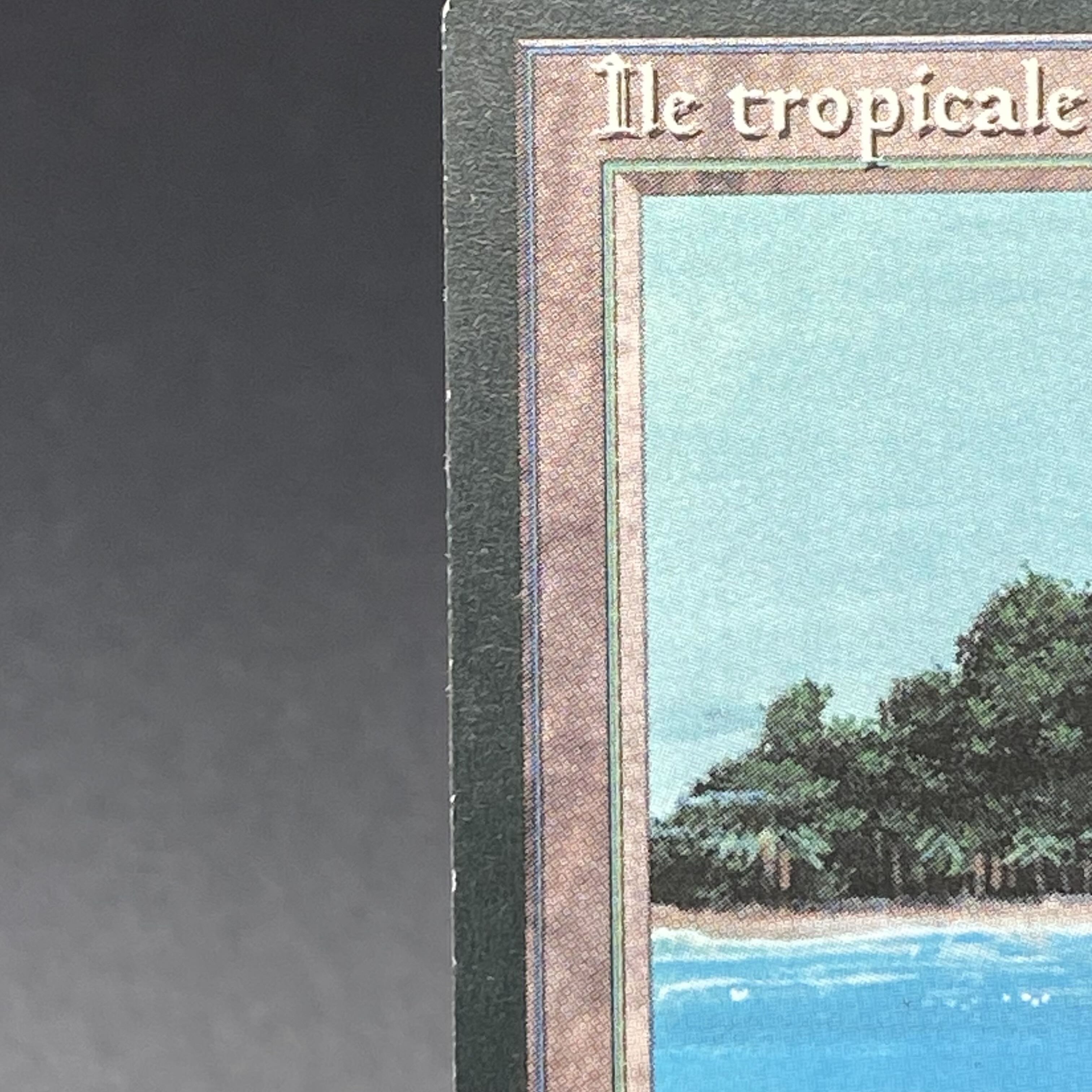 Tropical Island / Ile tropicale Multiple languages