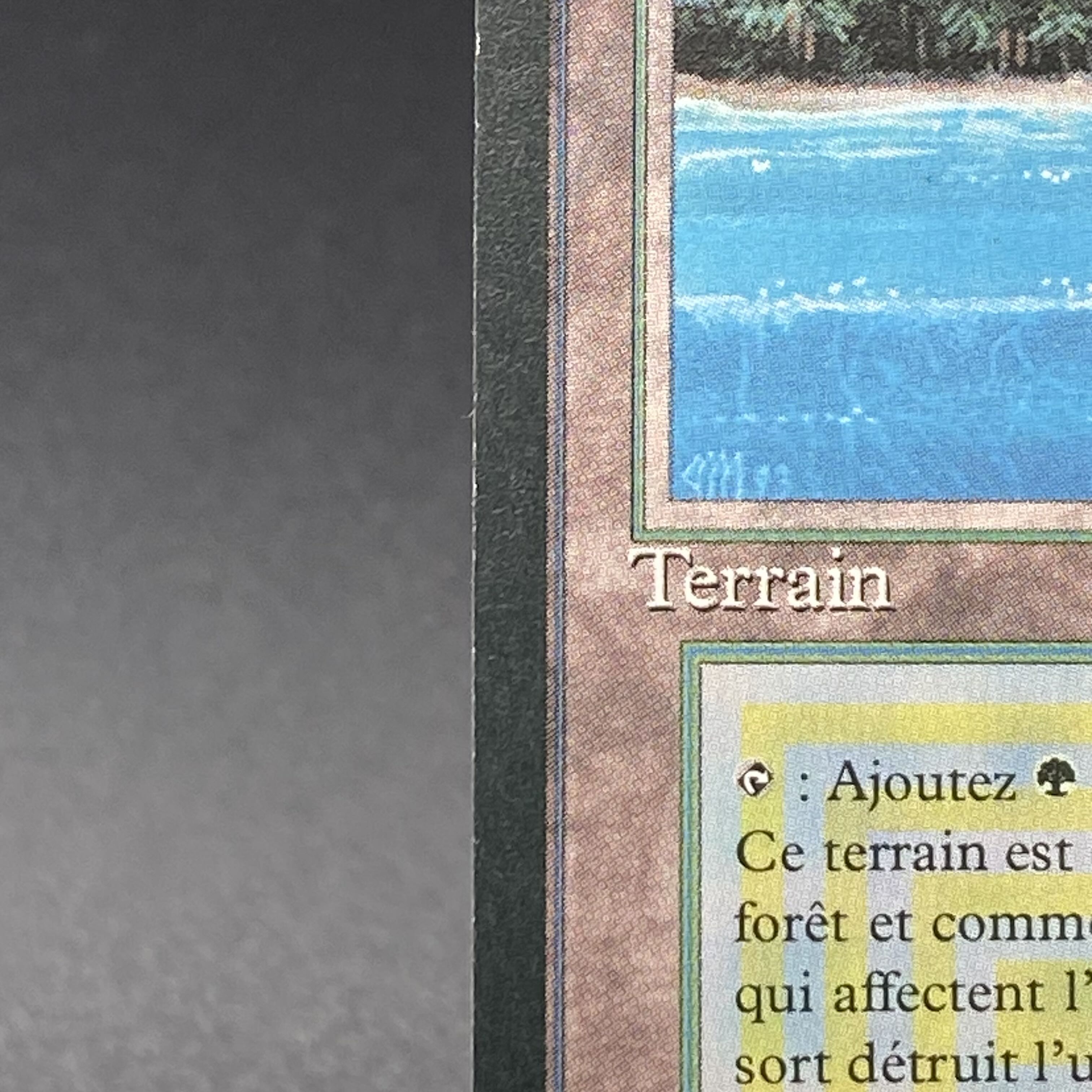 Tropical Island / Ile tropicale Multiple languages