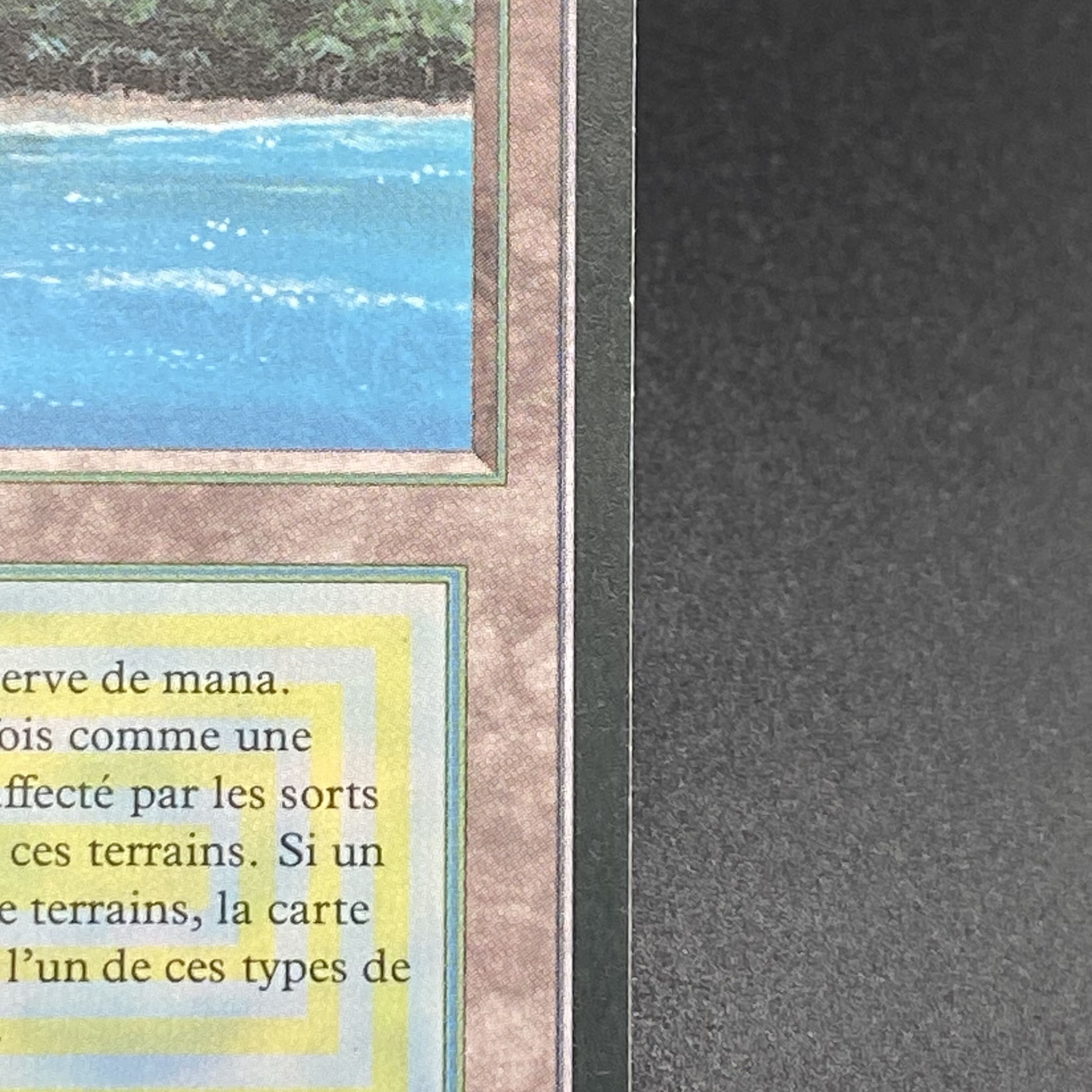 Tropical Island / Ile tropicale Multiple languages