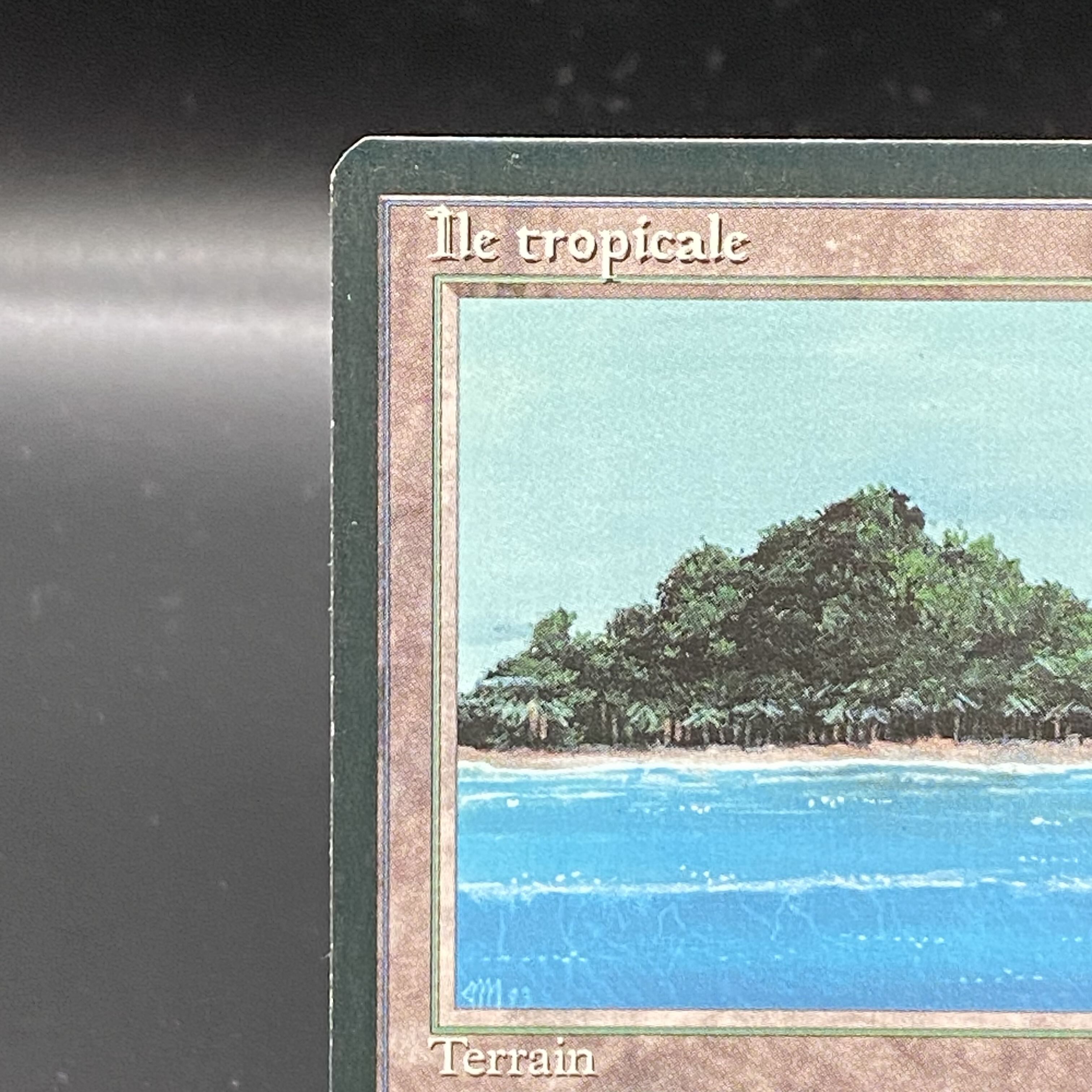 Tropical Island / Ile tropicale Multiple languages