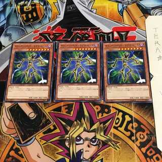 Gimmick Puppet - Magne Doll DP22 2 Normal, set of 3 Tera.