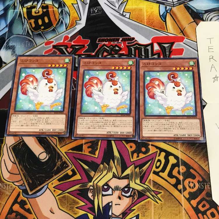 こけコッコ SD34 3 ノーマル 3枚セット てら