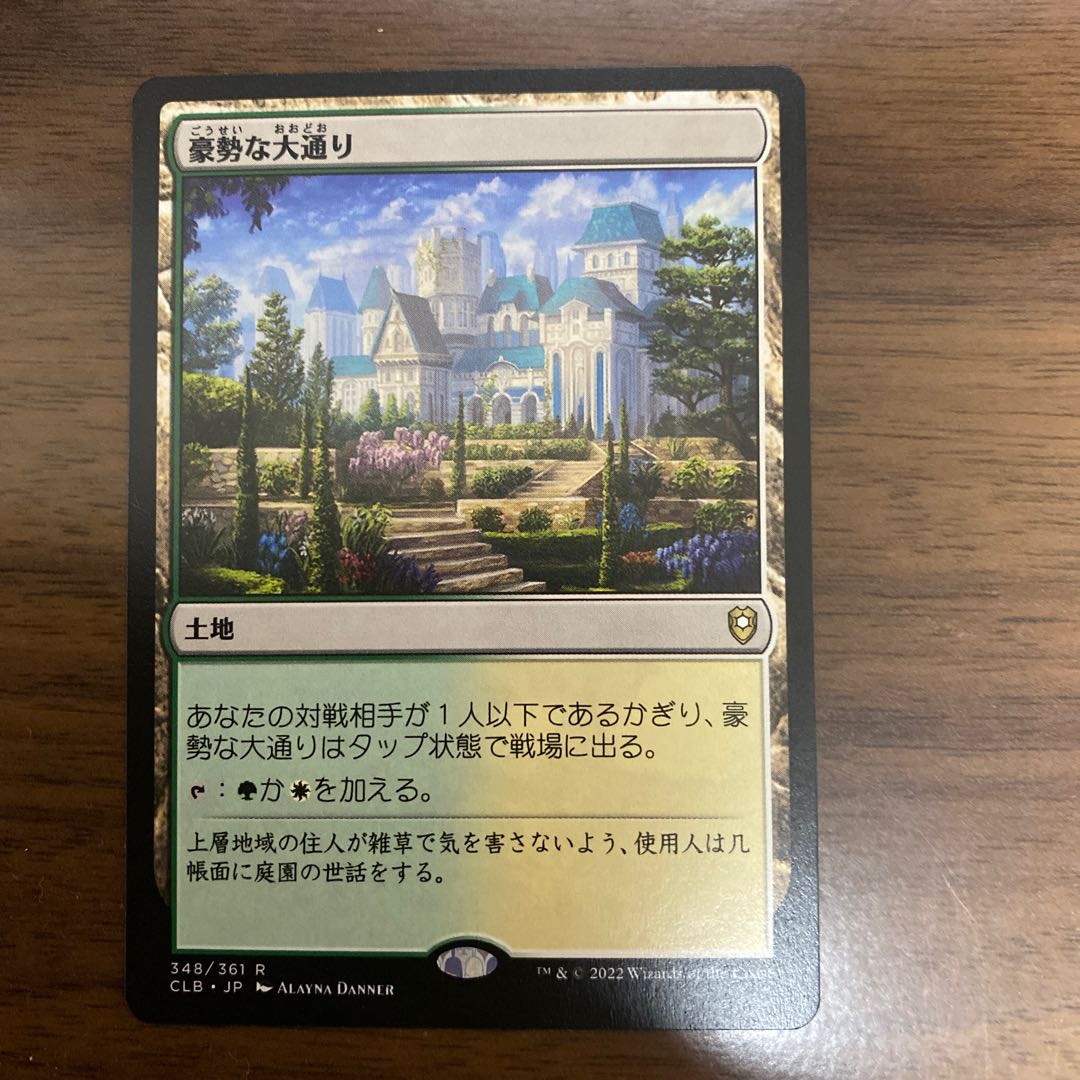 豪勢な大通り 日本語版