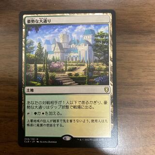 豪勢な大通り 日本語版