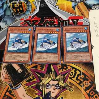 シャーク・ザ・クルー ANPR 2 ノーマル 3枚セット てら