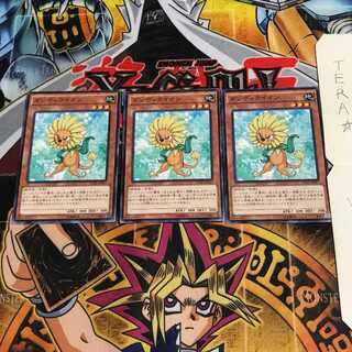 ダンディライオン DC01 1 ノーマル 3枚セット てら