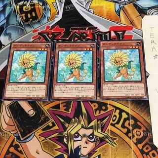 ダンディライオン DC01 2 ノーマル 3枚セット てら