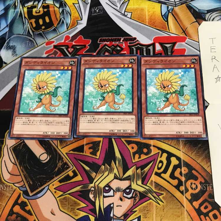 Dandylion SR01 2 Normal, set of 3 Tera.