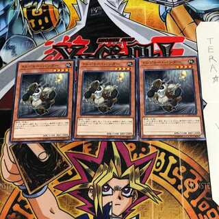 Treasure Panda COTD 3 Normal, set of 3 Tera