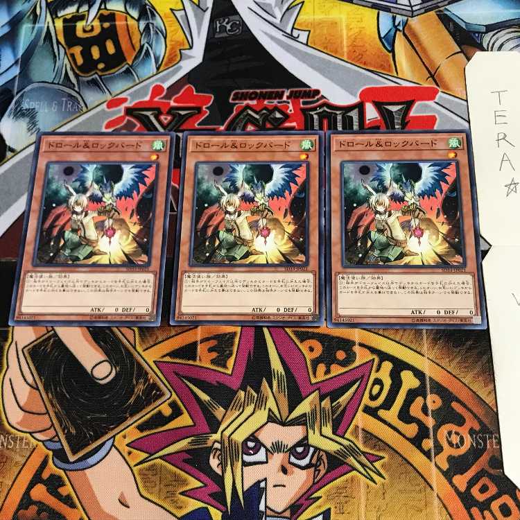 Droll & Lock Bird SD33 3 Normal Set of 3 Tera