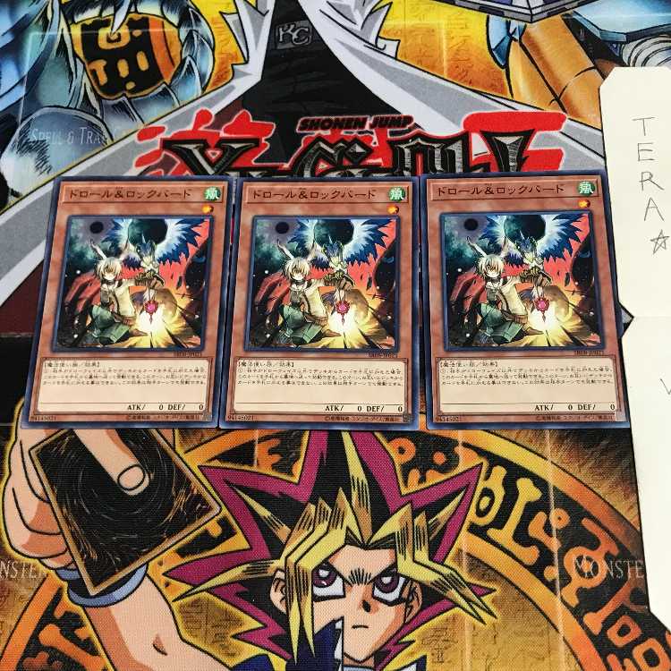 Droll & Lock Bird SR08 2 Normal, set of 3 Tera