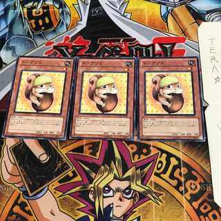 ドングリス PHSW 2 ノーマル 3枚セット てら