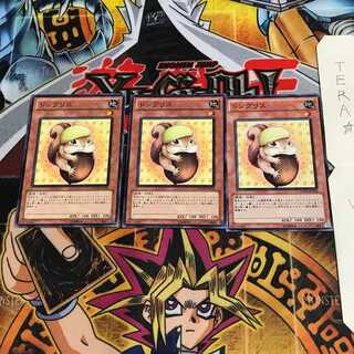 ドングリス PHSW 3 ノーマル 3枚セット てら