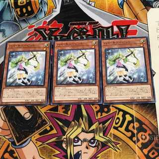 ハイ・キューピット CYHO 2 ノーマル 3枚セット てら