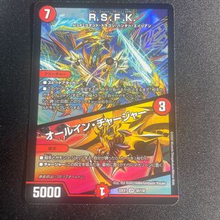 R.S.F.K.｜オールイン・チャージャー VR 30/130