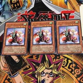 ハーピィズペット仔竜 SD8 1 ノーマル 3枚セット てら