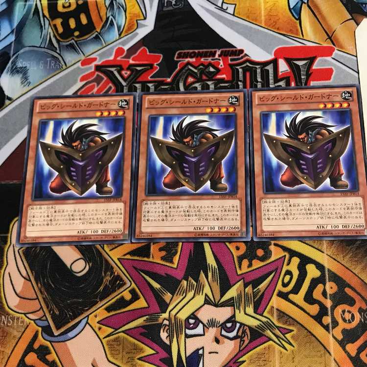 ビッグ・シールド・ガードナー 15AY 3 ノーマル 3枚セット てら