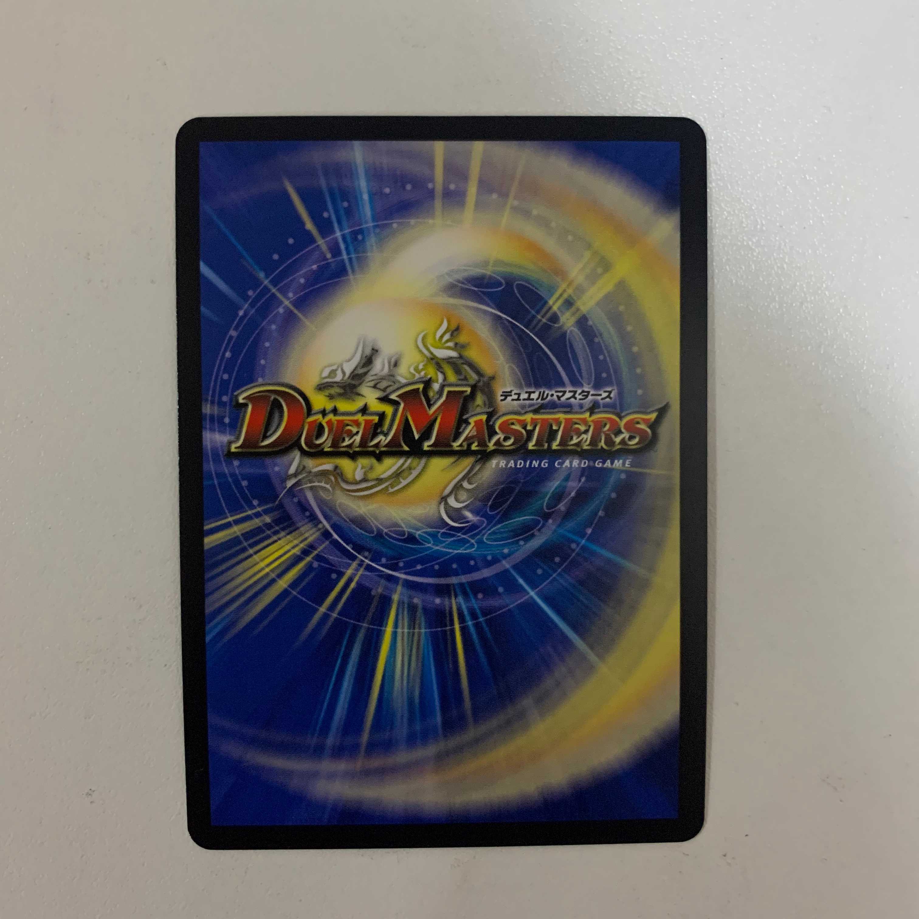 「絶対の楯騎士」