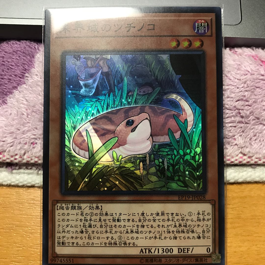 未界域のツチノコ