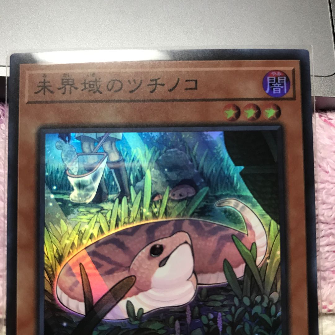 未界域のツチノコ