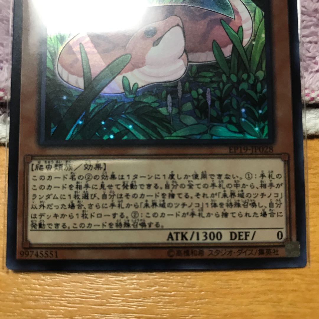 未界域のツチノコ