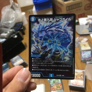 水上第九院シャコガイル