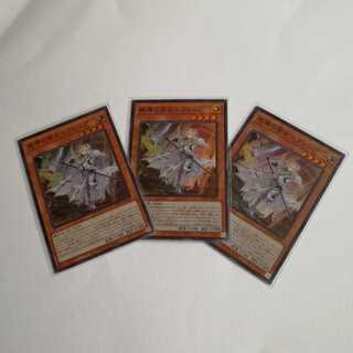 教導の聖女エクレシア　スーパー　3枚セット