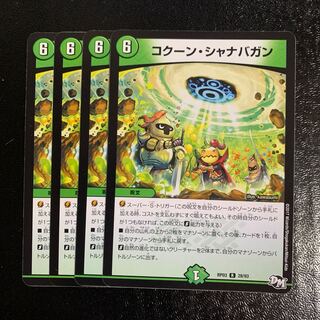 コクーン・シャナバガン4枚