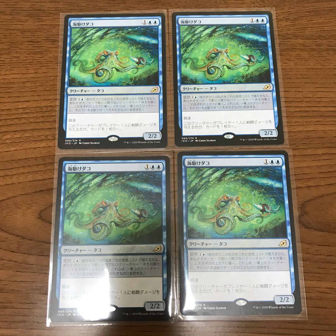 Sea-Dasher Octopus 1枚