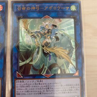 よっぴー様専用、アポロウーサ