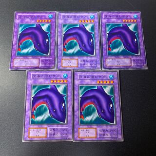 深海に潜むサメ