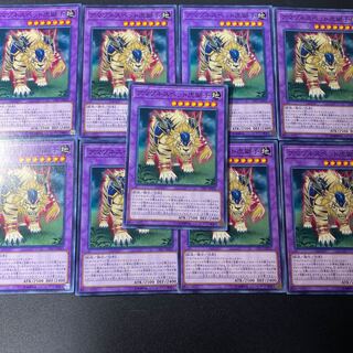 アマゾネスペット虎獅子 ノーマル JP043