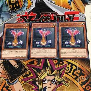 フルール・シンクロン SD28 1 ノーマル 3枚セット てら