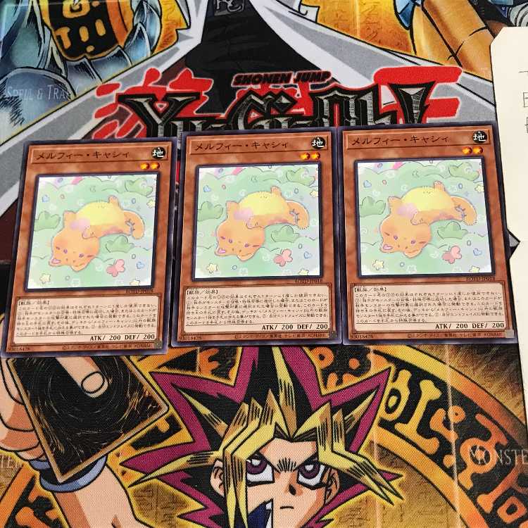 メルフィー・キャシィ ROTD 2 ノーマル 3枚セット てら