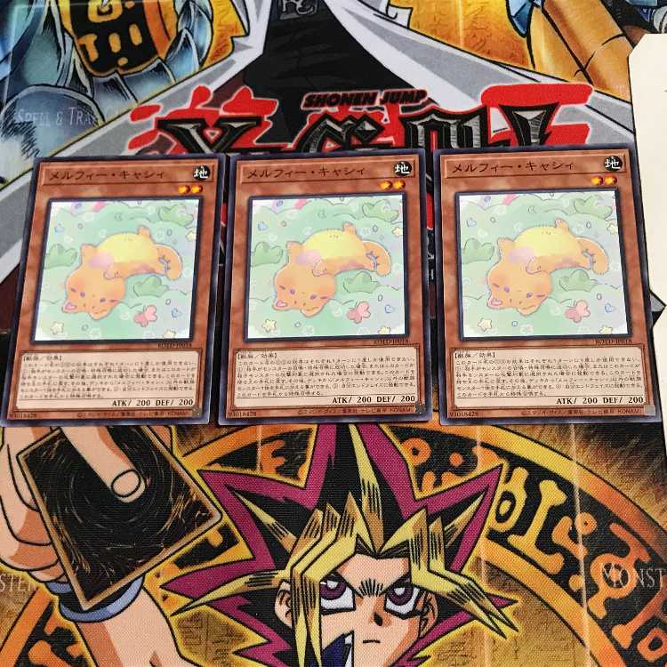 メルフィー・キャシィ ROTD 3 ノーマル 3枚セット てら