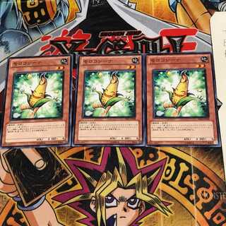 モロコシーナ PR01 1 ノーマル 3枚セット てら