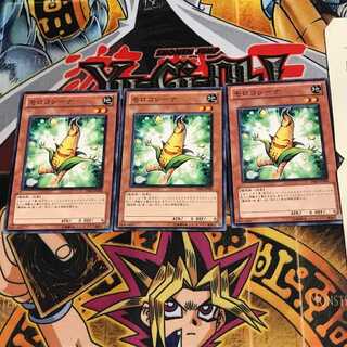 モロコシーナ PR01 2 ノーマル 3枚セット てら