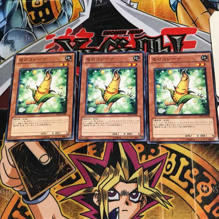 モロコシーナ PR01 3 ノーマル 3枚セット てら