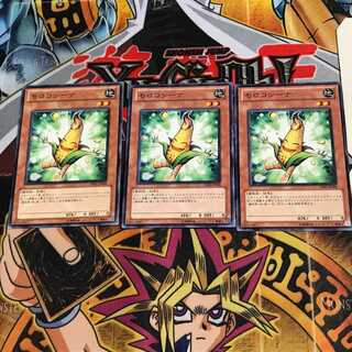 モロコシーナ PR01 3 ノーマル 3枚セット てら