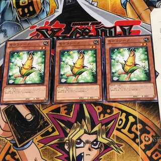 モロコシーナ TP13 1 ノーマル 3枚セット てら