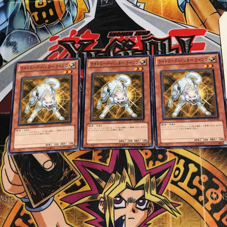 Ryko, Lightsworn Hunter SD22 1 Normal, set of 3 Tera