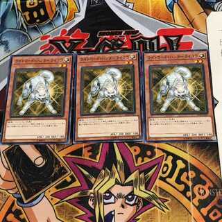 Ryko, Lightsworn Hunter ST18 2 Normal, set of 3 Tera.