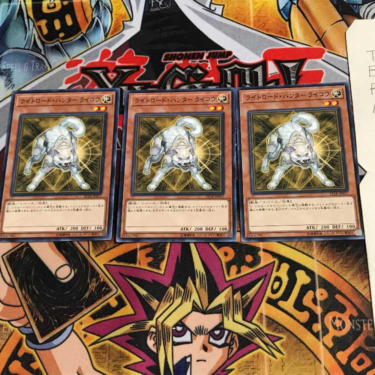 Ryko, Lightsworn Hunter ST18 3 Normal, set of 3 Tera