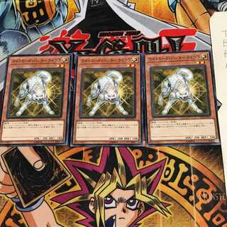 Ryko, Lightsworn Hunter ST18 3 Normal, set of 3 Tera