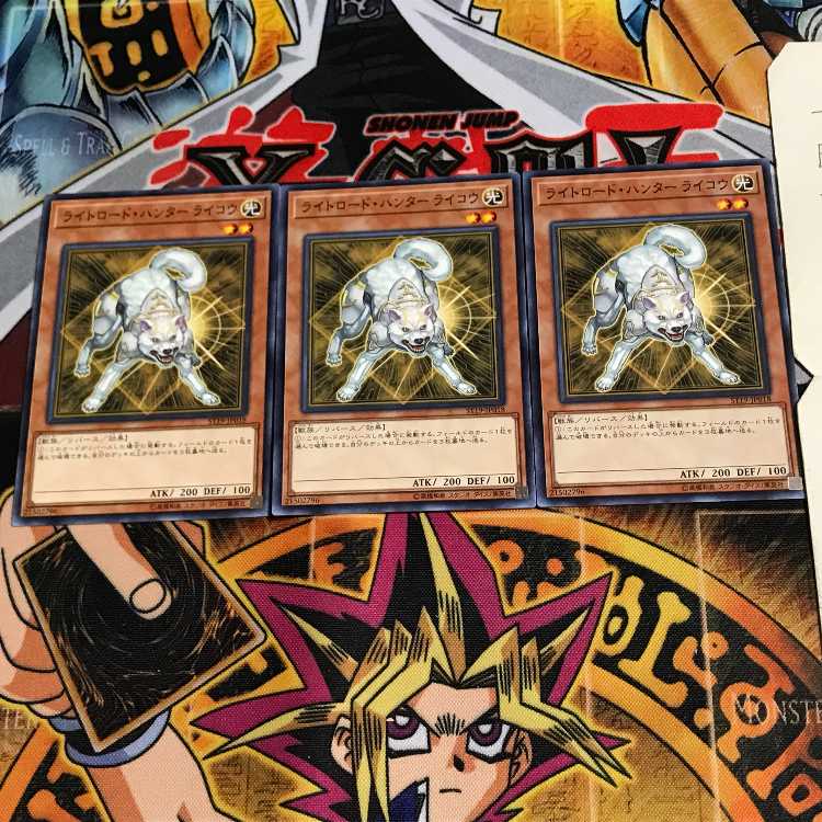 Ryko, Lightsworn Hunter ST19 1 Normal, set of 3 Tera.