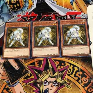 Ryko, Lightsworn Hunter ST19 1 Normal, set of 3 Tera.